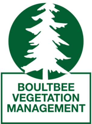 boultbeelogo