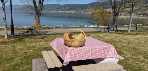 Picnic Penticton